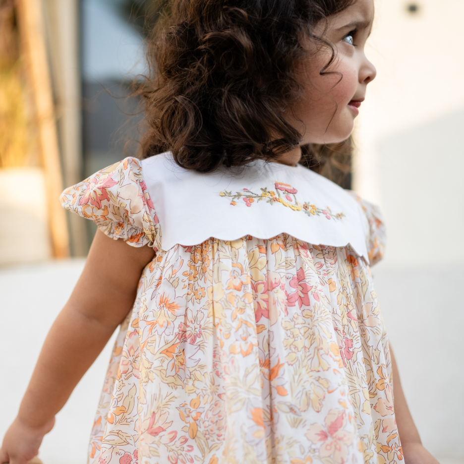 Orange Marmalade Embroidered Dress